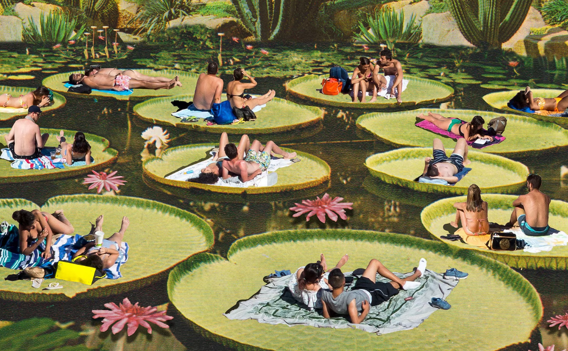 How Nature Changes Your Brain During Everyday Activities